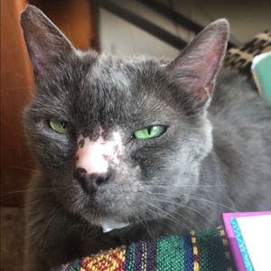 Meet your Posher, Ana